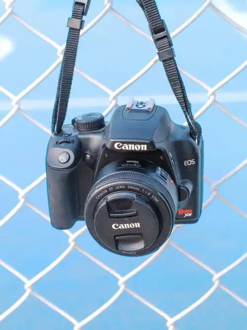 300r的佳能单反,说一句入门神机不过分吧!