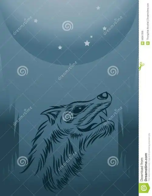 与月亮的孤独的狼