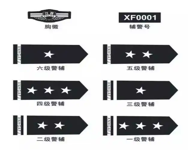 为辅警授衔这个肩章还不错