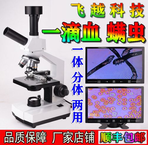 飞越高清 一滴血检测仪 螨虫检测仪血脂细胞头皮面部显微镜观察仪