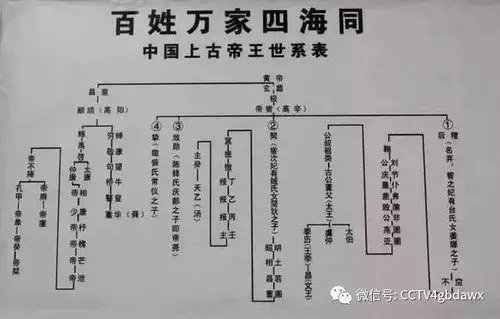 时光挖挖哇中国人为什么会有家谱