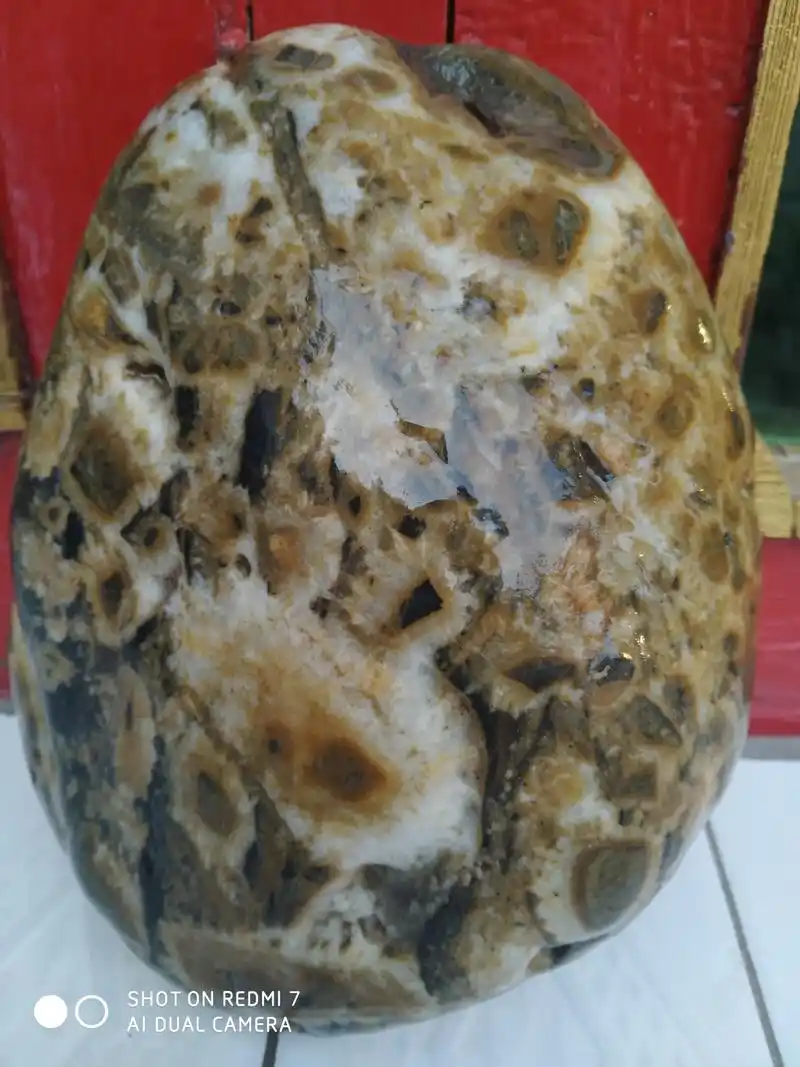 渭河奇石,有兴观赏