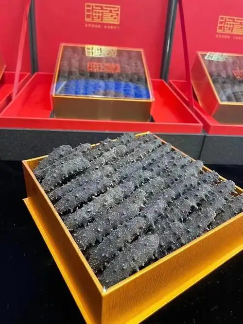 白柚参的功效与作用_沙海参功效与作用_金虫草三参的功效与作用