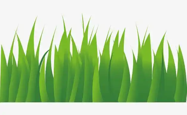 卡通装饰插画金色麦子麦苗插画元素