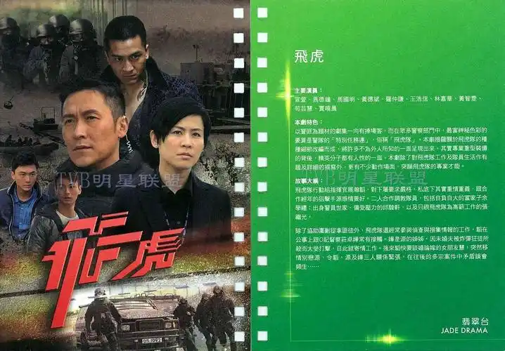 飞虎thefirstoption(1996)