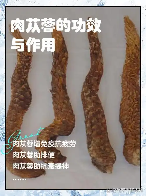 肉苁蓉的功效与作用 姐妹们有没有发现,肉苁蓉真的是一种非常神奇的中