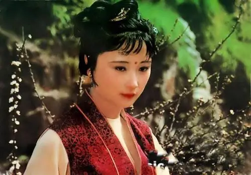 说说《红楼梦》中的香菱