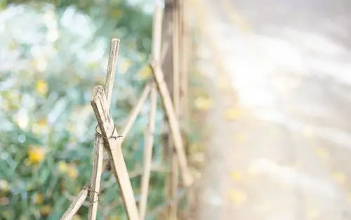 小清新美好意境风景图片桌面壁纸