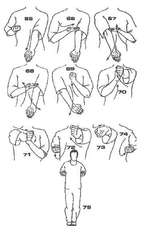 咏春拳小念头拳谱及招式分解
