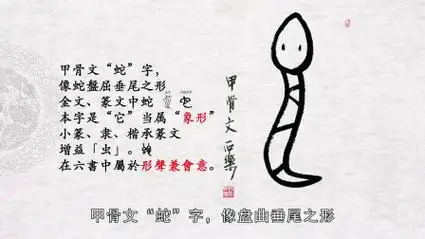 第22天 甲骨文十二生肖"蛇"字的写法
