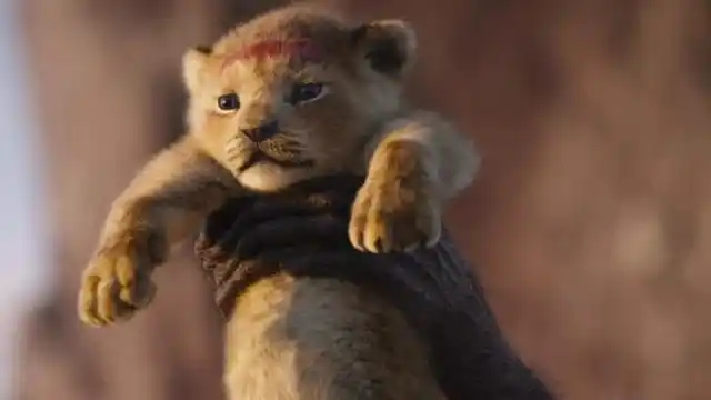 狮子王 配音特辑-狮子王-the lion king-mtime时光网