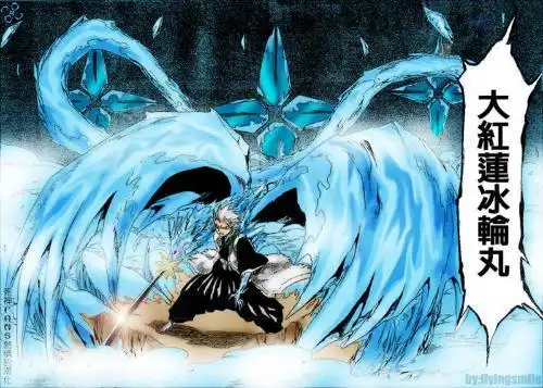 给几张死神漫画中冬狮郎d解的图片