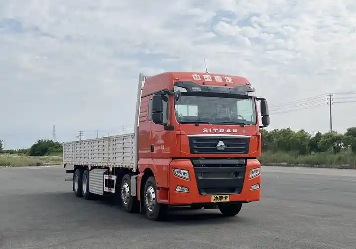 汕德卡牌zz1316v466hf1c载货汽车公告图片