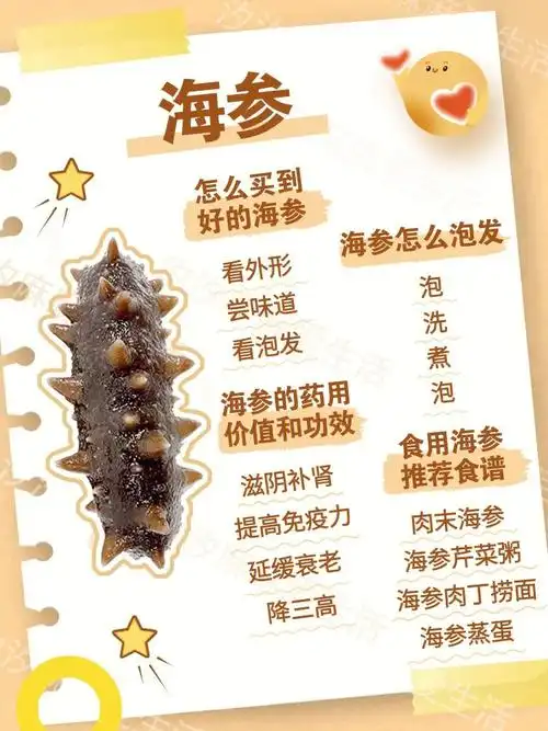 价值和功效[彩虹r]食用海参推荐食谱汐汐麻麻整合了一下让大家看的更