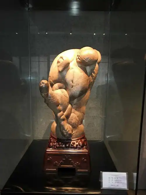 11届国际奇石节奇石馆精品諅5