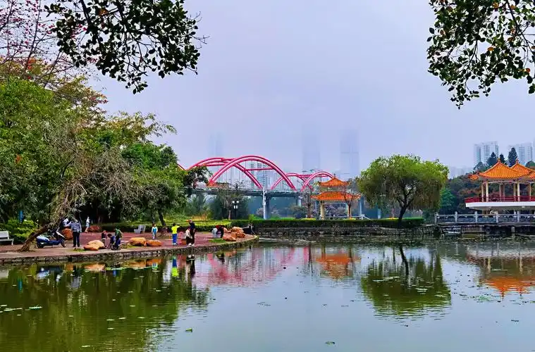 周末 深圳洪湖公园