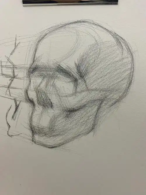 头骨步骤完整图#素描  #美术生