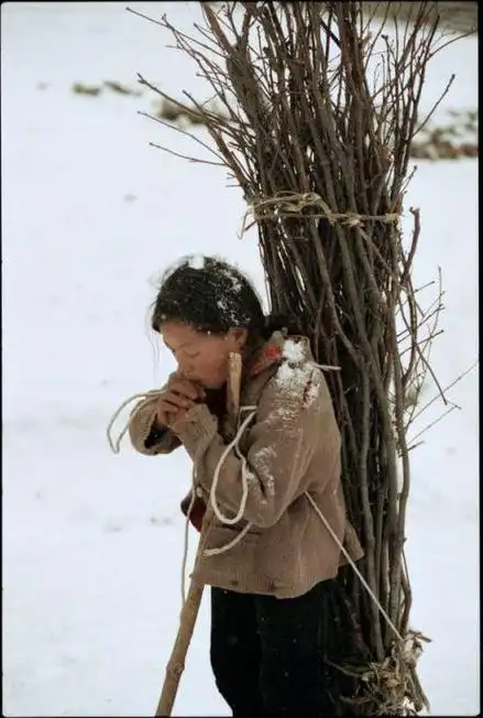 一张浑身脏兮兮的小女孩图片,顿时破防了