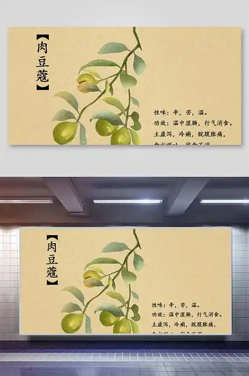 肉豆蔻本草纲目中草药介绍展板