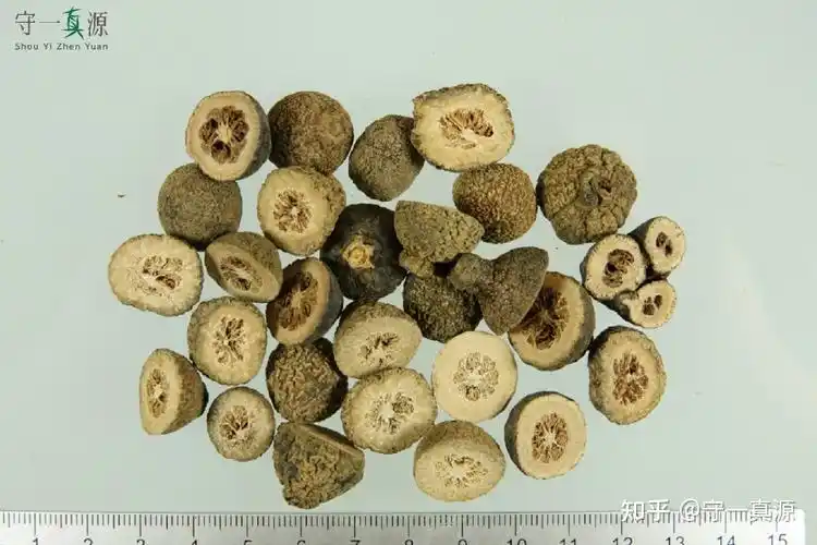 商家常用来冒充个青皮片和枳实片.