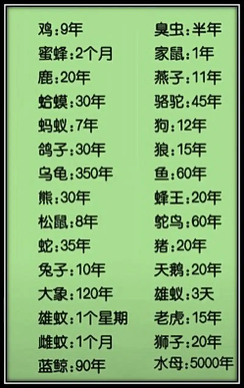 常见动物的寿命,只有乌龟,大象和水母的寿命比人类长.