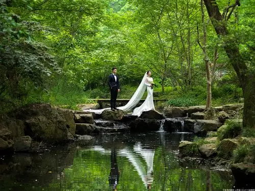 美景 与佳人相伴 静好