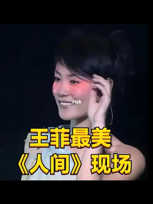 感受一下王菲最美人间现场