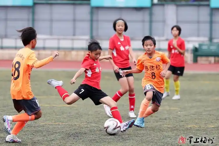 说到体校,大多数人的印象是学生以进行专业体育训练为主,对文化课学习