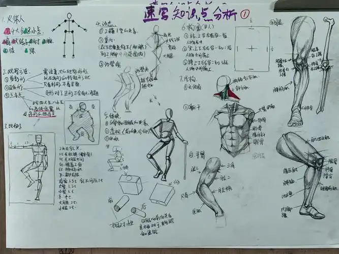 速写单人完整课件照片临摹步骤局部