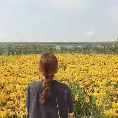 微信头像女生风景背影可爱 女生头像图片大全 -【爱个性】