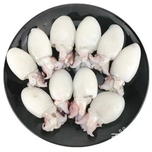 冷冻生鲜墨鱼仔鱿鱼仔乌贼20头12包*425克