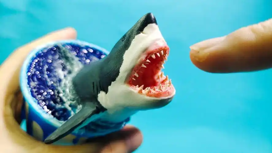 小忧粘土课堂酷酷鲨鱼