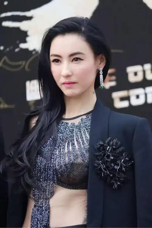 谢霆锋与张柏芝的情感纠葛从出轨到离婚谢霆锋从不抱怨