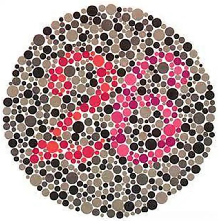 考驾照驾驶证换证升学要检查的10张色盲测试图你能认出几个