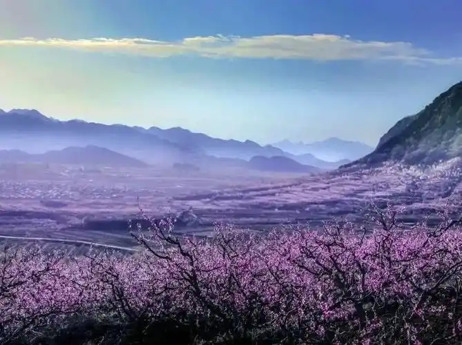 平谷融媒此外,在构建网红打卡地方面,平谷区将围绕泃洳河,桃花海,北寨