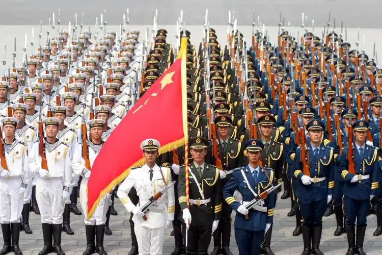 本科毕业生,喊你来当兵