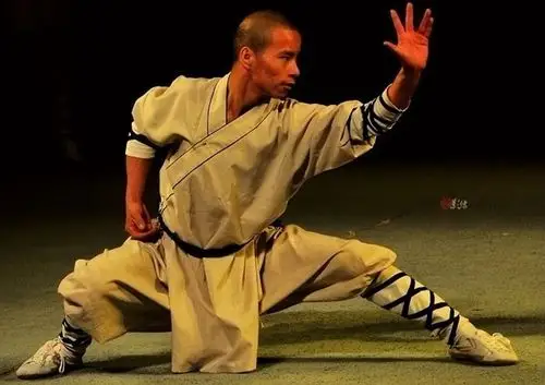 【功夫种类】中国功夫博大精深,少林功夫(如:罗汉拳,洪拳),武当派武术