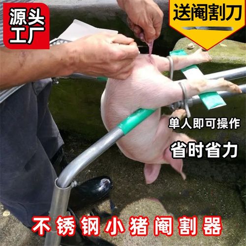 阉猪架仔猪敲猪架神器养殖阉割刀劁腌猪刀工具小猪去势架剦猪架子