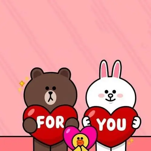 line friends 布朗熊brown choco 可妮兔cony 莎莉鸡sally 馒头人穆恩
