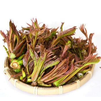 现摘发货露天新鲜头茬香椿芽红色当季香椿蔬菜250g