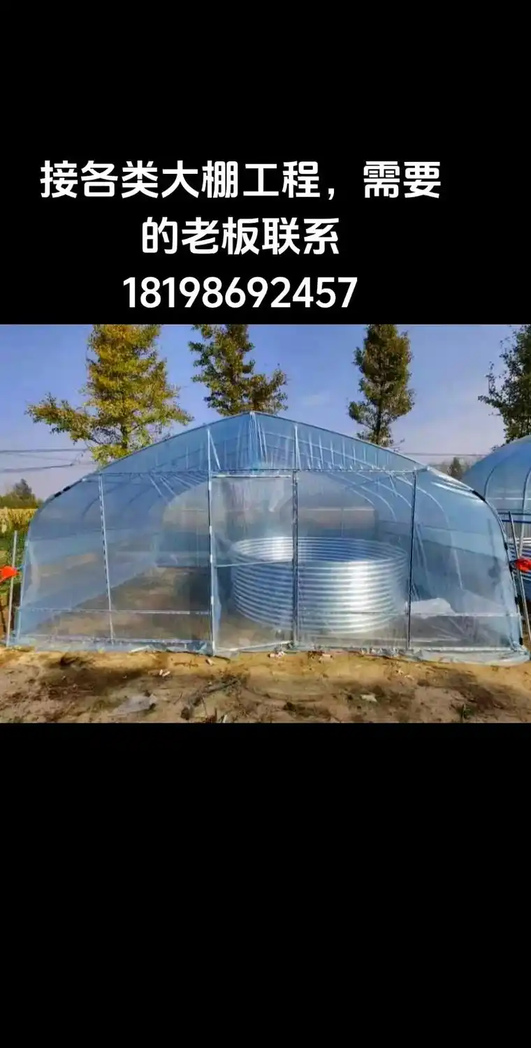 采用大棚覆盖塑料薄膜种植蔬菜,可以为蔬菜生长 - 抖音