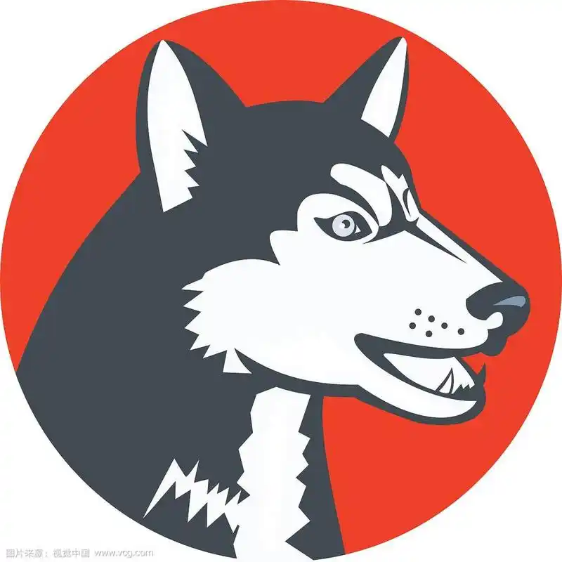 西伯利亚哈士奇狗头圈复古