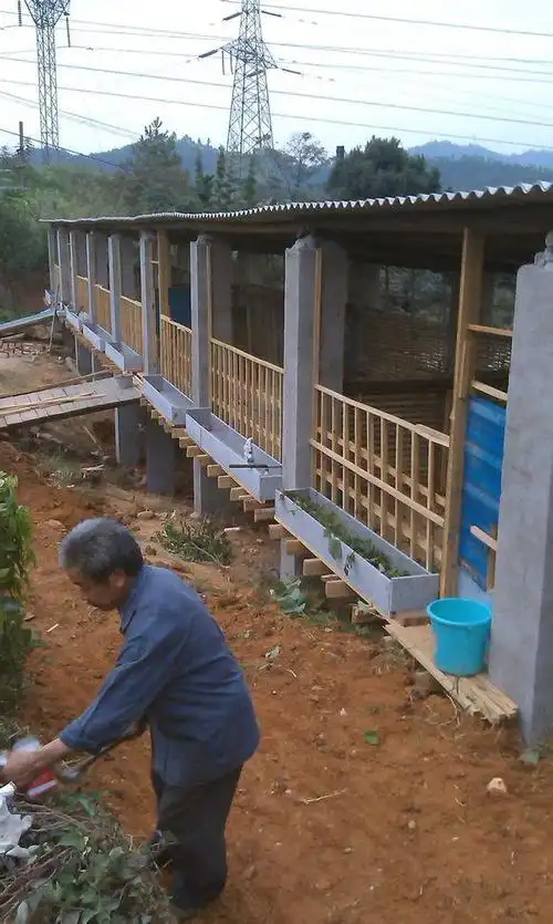 看看农村的羊圈是怎样建成的?