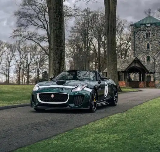 性感小跑捷豹ftype