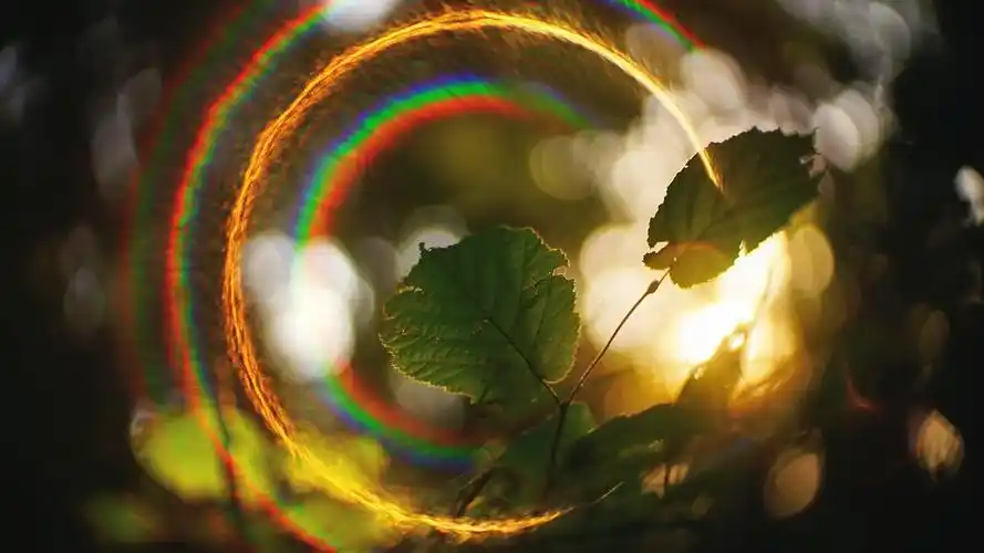 阳光晕,绿叶,彩虹 iphone 壁纸