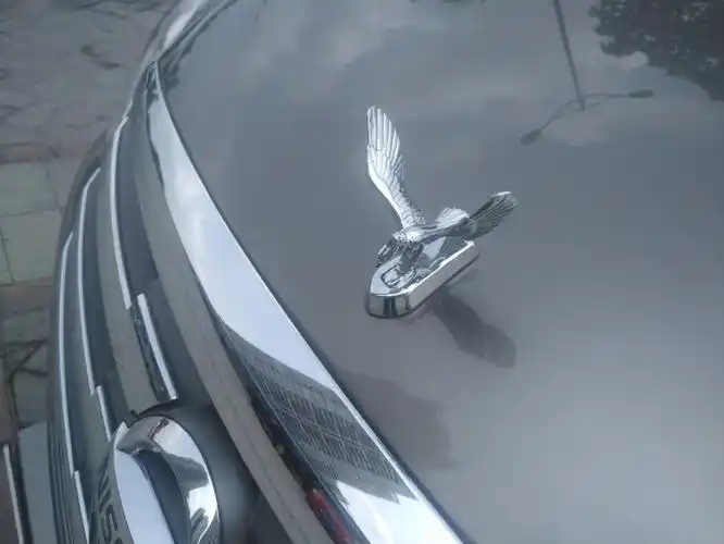 汽车金属立标机盖老鹰3d立体车标引擎盖个性装饰中网翅膀改装车贴