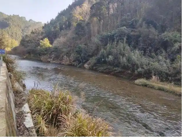 宁远县五龙山瑶族乡开展河道清理行动守护水清岸绿美景