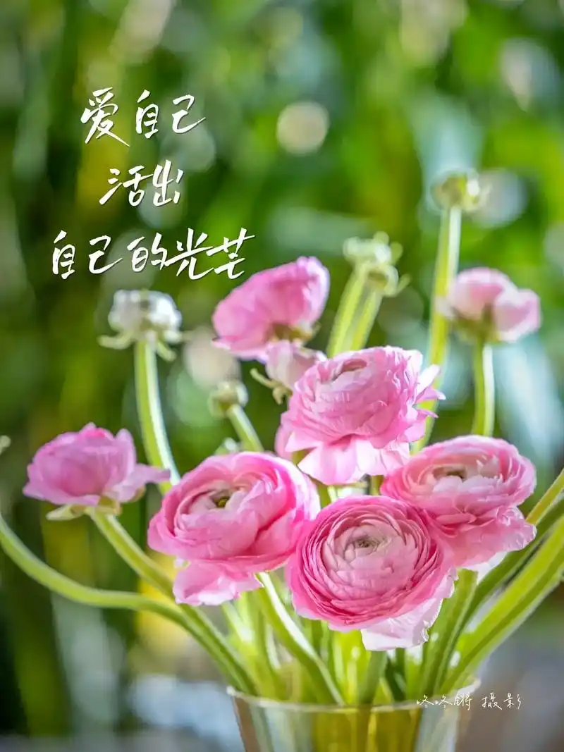 爱自己,活出自己的光芒