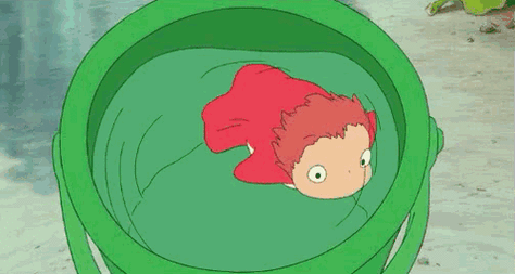 500_267gif 动态图 动图