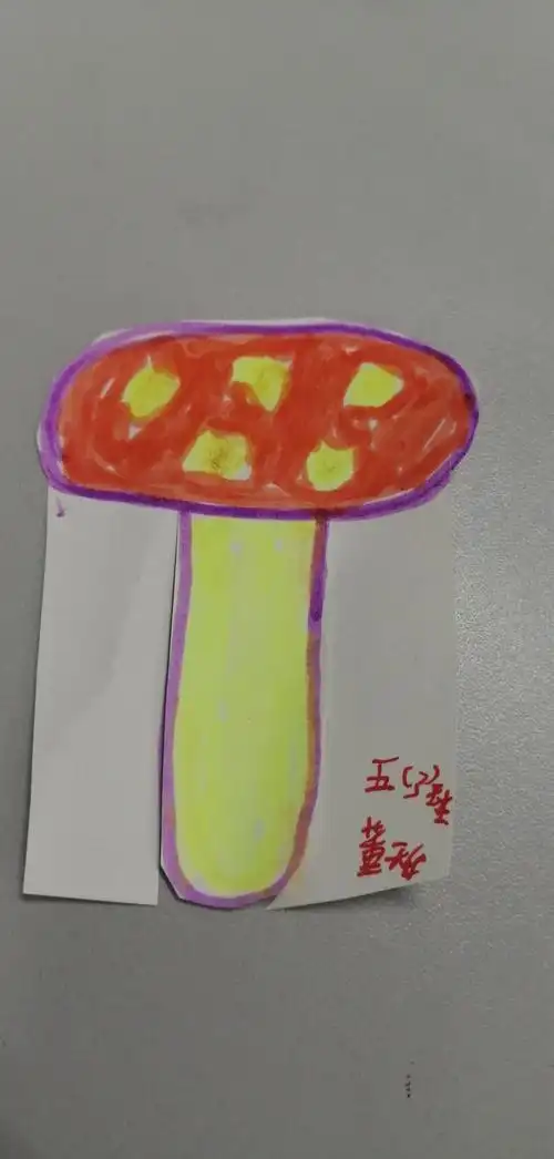 2020年五年级3班书签与足球